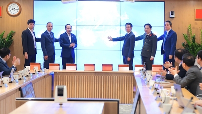 Lanzamiento de un sistema de gestión en línea para tareas de ciencia y tecnología