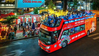 Захопливі подорожі наприкінці року з серією фестивальних турів