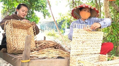 Effektiviteten av yrkesopplæringsprosjektet for bygdearbeidere