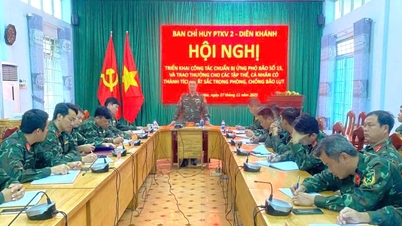 Pemerintahan Pertahanan Wilayah 2 - Dien Khanh mengerahkan persiapan untuk bertindak balas terhadap ribut No. 15