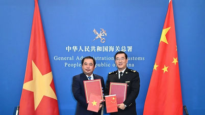 La yaca vietnamita fresca abre el mercado chino