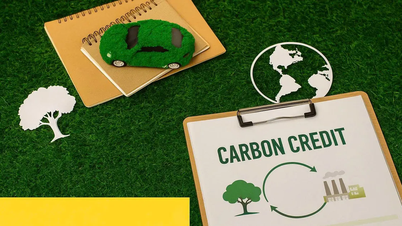 Es besteht die Gefahr, Milliarden von Dollar zu verlieren, wenn der Preis für den Handel mit CO2-Zertifikaten nicht erhöht wird.