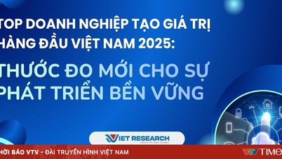 Programul Value500 și Value10: Noi măsuri pentru dezvoltare durabilă