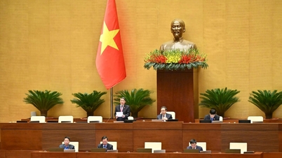 Complementar os princípios para o tratamento de informações sobre detecção de resíduos dentro de um prazo específico e divulgar os resultados.