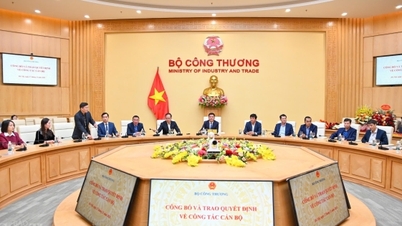 ছবির সিরিজ: মন্ত্রী নগুয়েন হং ডিয়েন কর্মীদের কাজের সিদ্ধান্ত উপস্থাপন করছেন