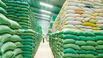 लाम डोंग प्रांत ने 40 स्थानों पर 1,000 टन चावल का वितरण पूरा कर लिया है।