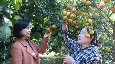 Phát huy hiệu quả từ nguồn vốn tín dụng chính sách