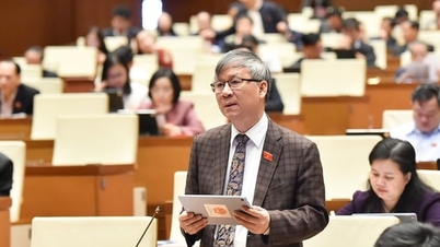 Abgeordnete der Nationalversammlung schlagen ein vollständiges Verbot von E-Zigaretten im Investitionsgesetz (geändert) vor.