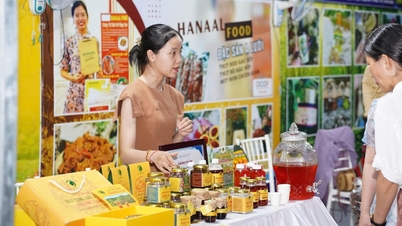 Exploatarea și dezvoltarea valorii mărcii în orașul Hue