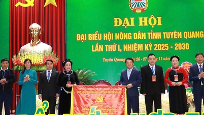 انجمن کشاورزان توین کوانگ، همبستگی، نوآوری، همکاری و توسعه را ترویج می‌دهد.