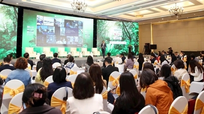 גישה לשוק, בניית אמון עם הצרכנים