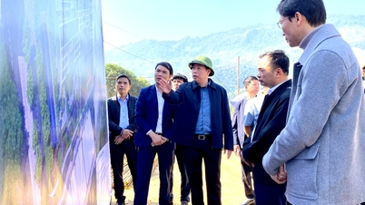 ها کوانگ ترونگ، رئیس کمیته مردمی استان، از پیشرفت ساخت مدرسه ابتدایی و متوسطه شبانه‌روزی فونگ تو بازدید کرد.