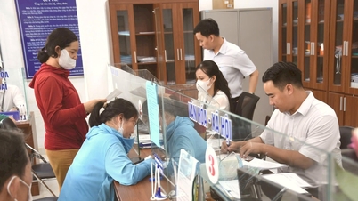 Dong Nai: Memilih 22 komune dan distrik untuk melakukan survei kepuasan masyarakat dan organisasi terhadap layanan publik