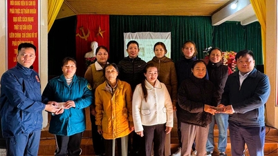 Acordarea a 360 de milioane de VND pentru a sprijini mijloacele de trai ale femeilor din minoritățile etnice din comuna Tan Trinh
