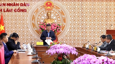 לאם דונג מחפשת פתרונות ליישום פרויקטים לשיפור הסביבה בערים סוג ב'