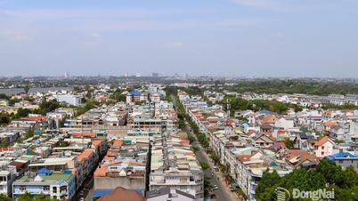 דונג נאי מנקה נתוני קרקע עבור 93% ממגרשי הקרקע והבתים למגורים