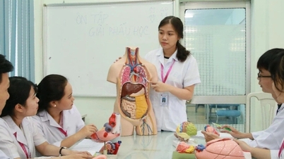 Tıp eğitiminin sıkılaştırılması: "Hastaların doktorların nerede eğitim aldığını ve uzmanlık alanlarının ne olduğunu bilmesi gerekiyor"