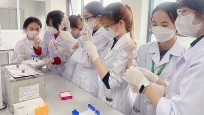 O setor médico estabelece um novo padrão de pontuação e é rigorosamente avaliado pelo Exame Nacional.