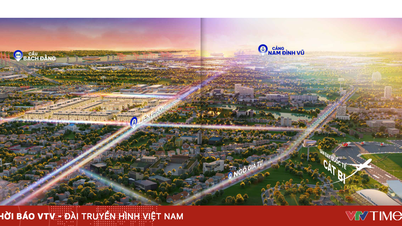 Pourquoi Dong Hai est-il devenu le nouveau quartier central des affaires du super port de Hai Phong ?