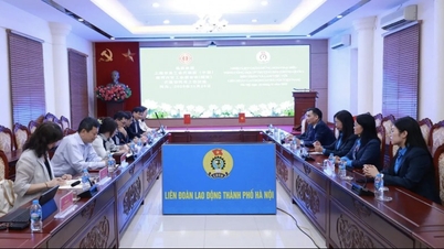 Strengthening cooperation and sharing of experiences in trade union activities