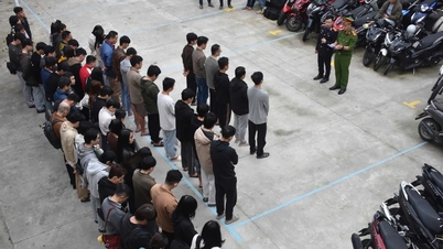 Dezmembrarea unei rețele de jocuri de noroc deghizate în companie de tehnologie din Da Nang