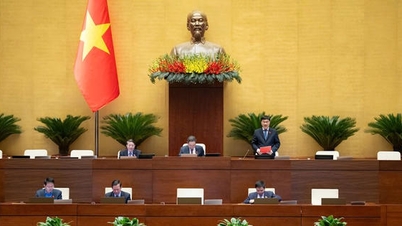 Los delegados de la Asamblea Nacional proponen la prohibición absoluta de los cigarrillos electrónicos y los productos de tabaco calentados