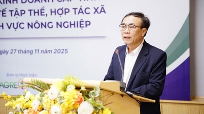 Rangering av provinsiell næringslivsmiljø for landbrukskooperativer