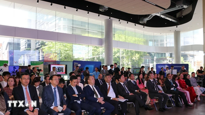 Зміцнення технологічної співпраці та інновацій між В'єтнамом та Австралією