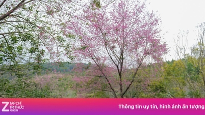 Bagaimana hendak pergi ke Da Lat apabila lapangan terbang Lien Khuong ditutup?