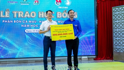 Sianie zielonych nasion na „polu” wiedzy