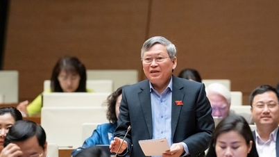 يقترح مندوبو الجمعية الوطنية آلية مجهولة المصدر لمقدمي معلومات مكافحة النفايات