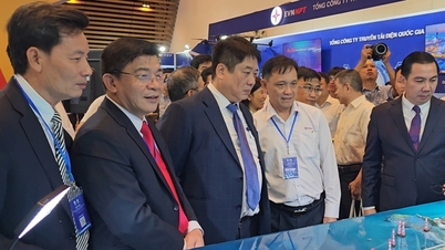 بجلی سائنس اور ٹیکنالوجی 2025 پر قومی کانفرنس کا آغاز