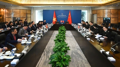 신선한 베트남 잭프루트가 공식적으로 중국 시장을 정복했습니다.