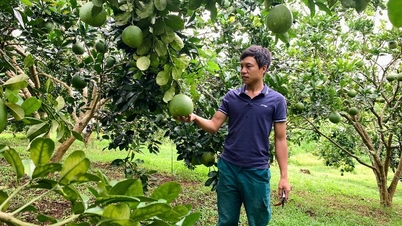 رقابت در تولید و تجارت خوب را ترویج دهید، برای کمک به یکدیگر در کاهش پایدار فقر متحد شوید