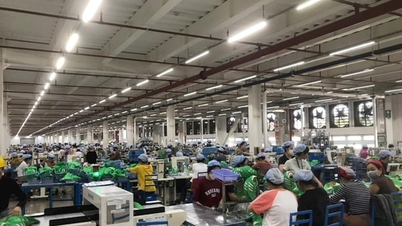 I 2026 trenger Dong Nai-provinsen å rekruttere rundt 55 000 arbeidere.