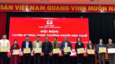 税制遵守を徹底した47の団体および個人を表彰