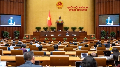 Ministro Le Hoai Trung: Fortalecer a eficácia da implementação de tratados internacionais, criando condições para que pessoas e empresas sejam verdadeiramente o centro da integração.