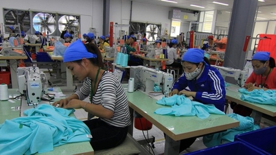 ISO 45001: Memperkuat manajemen keselamatan kerja menuju pembangunan berkelanjutan