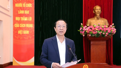 Nova consciência e soluções em coordenação entre família, escola e sociedade.