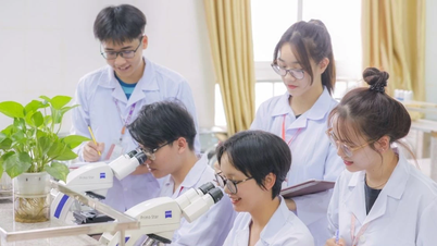 Espero criar uma nova vitalidade na formação doutoral.