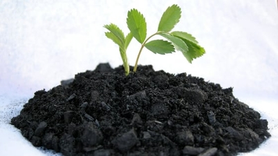 Зелене розумне місто – рішення для нульового енергоспоживання