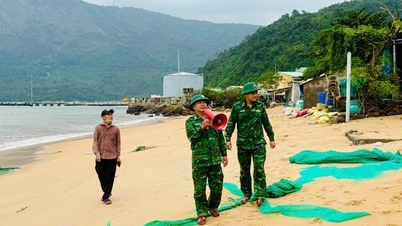 واکنش به طوفان شماره ۱۵: داک لاک افراد سوار بر قایق‌ها و کلک‌ها را بررسی و تخلیه می‌کند