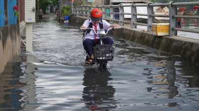 Debido a las complicadas condiciones climáticas, el Departamento de Educación y Formación de Ciudad Ho Chi Minh requiere garantizar la seguridad de los estudiantes.