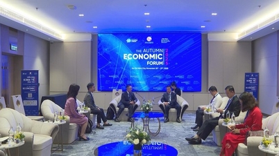 Η πόλη Χο Τσι Μινχ προωθεί τη συνεργασία ηλεκτρονικού εμπορίου με την Amazon προς την πράσινη οικονομία και τη βιώσιμη ανάπτυξη