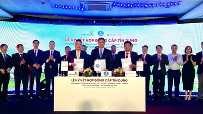 توفير 6,750 مليار دونج كرأس مال ائتماني لمشروع توسعة الطريق السريع بين مدينة هوشي منه ولونغ ثانه