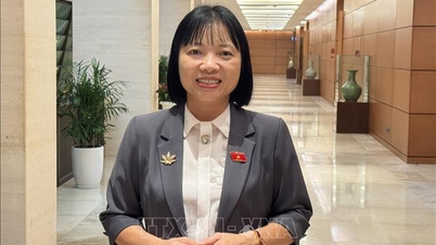 ذاتی انکم ٹیکس کو حقیقت پسندانہ اور صحیح مضامین کی حمایت کرنے کی ضرورت ہے۔