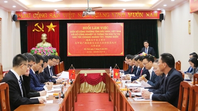 تقویت همکاری در توسعه صنعتی و هوش مصنوعی بین باک نین و گوانگشی (چین)