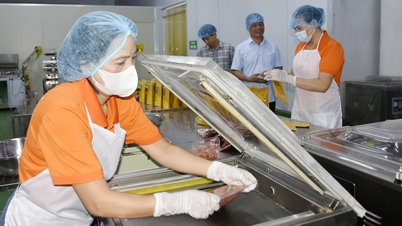 Bac Ninh: 60 nye kooperativer etablert