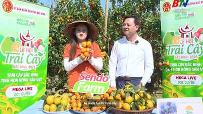 정원의 과일 축제 – 남동 협동조합