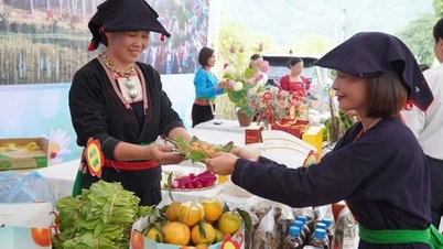 Phu Tho: Desenvolvimento cultural e humano: criando "poder brando" para o desenvolvimento sustentável.